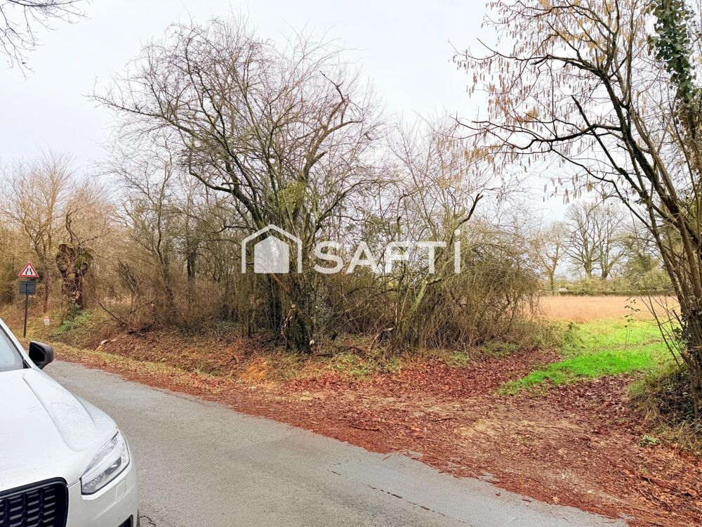 Vente Terrain Terrain 11077m2 dont 6647m2 constructibles Fontaine-le-comte