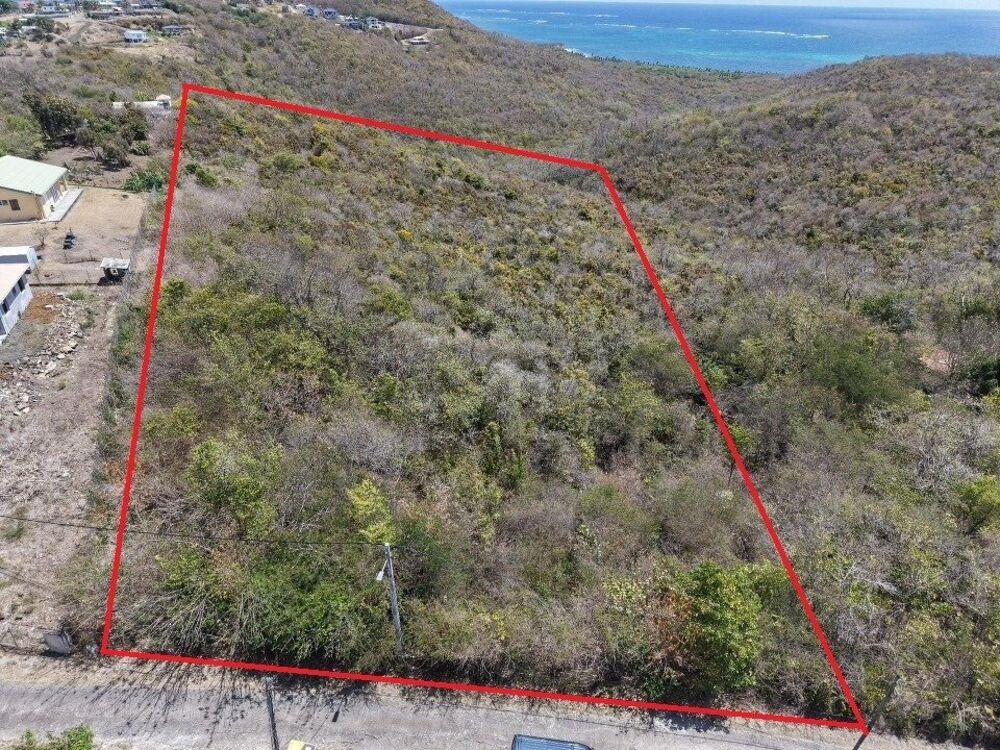 Vente Terrain Terrain d'exception de 10 000 m² au Marin, offrant une vue mer imprenable, déjà viabilisé et idéalement situé à proximité du bou Le marin