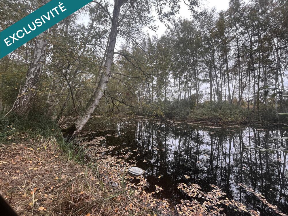 Vente Terrain GRAND ETANG Missy-les-pierrepont