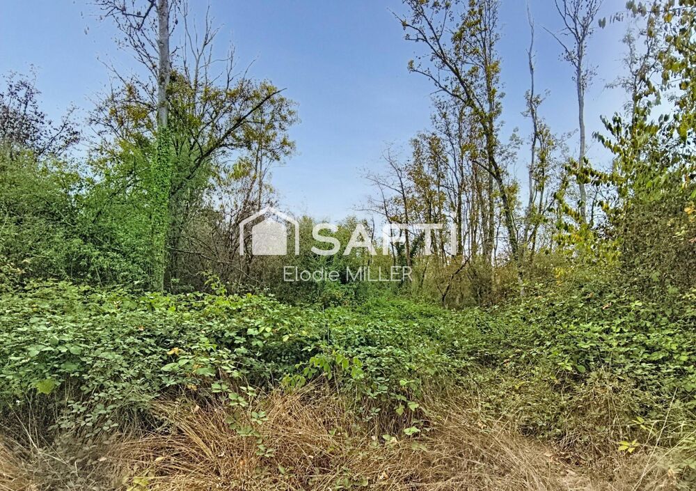 Vente Terrain 5 855 m² de parcelle boisée Voinemont