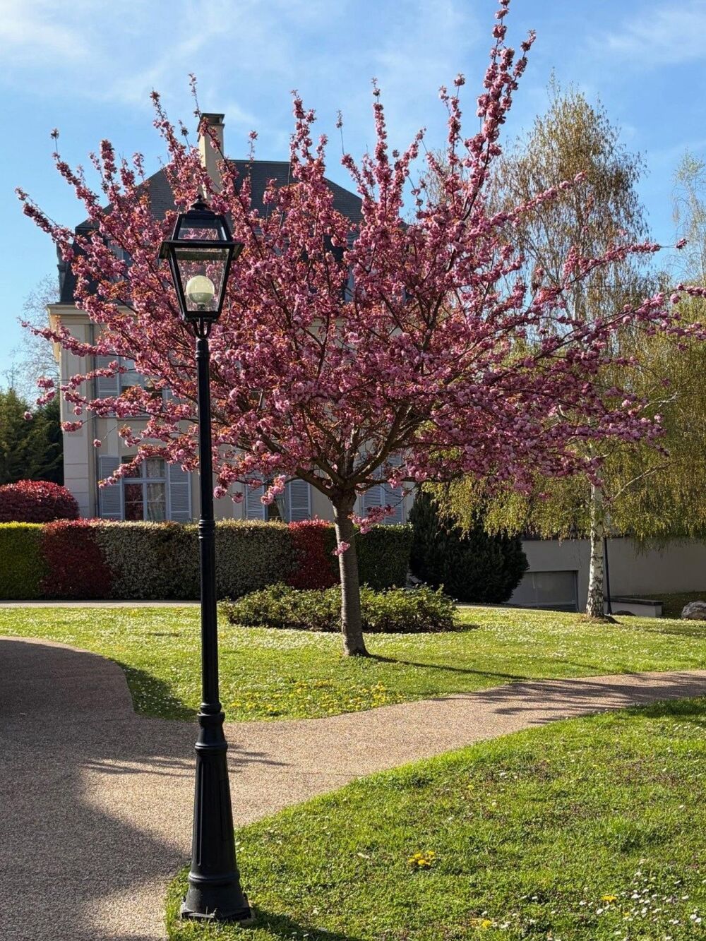 Vente Appartement Appartement 2 Pièces dans un joli château offre authenticité et calme et verdure Poissy