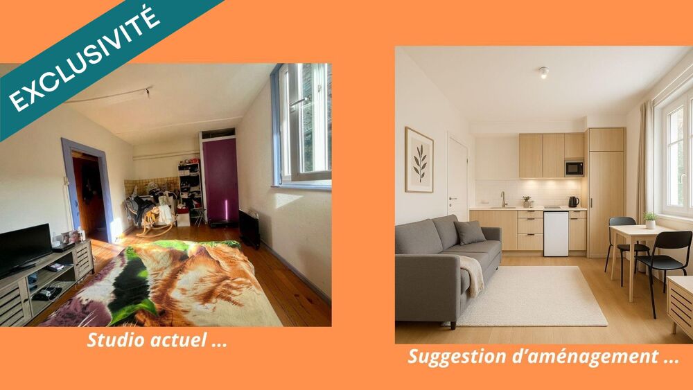 Vente Appartement URGENT À VENDRE – Appartement avec studio indépendant au cœur de Salins-les-Bains Salins-les-bains