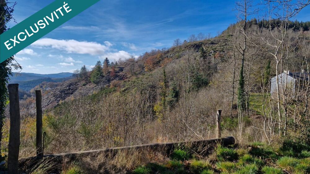 Vente Maison Maison avec dépendances sur terrain de 3,2 ha Lacaune