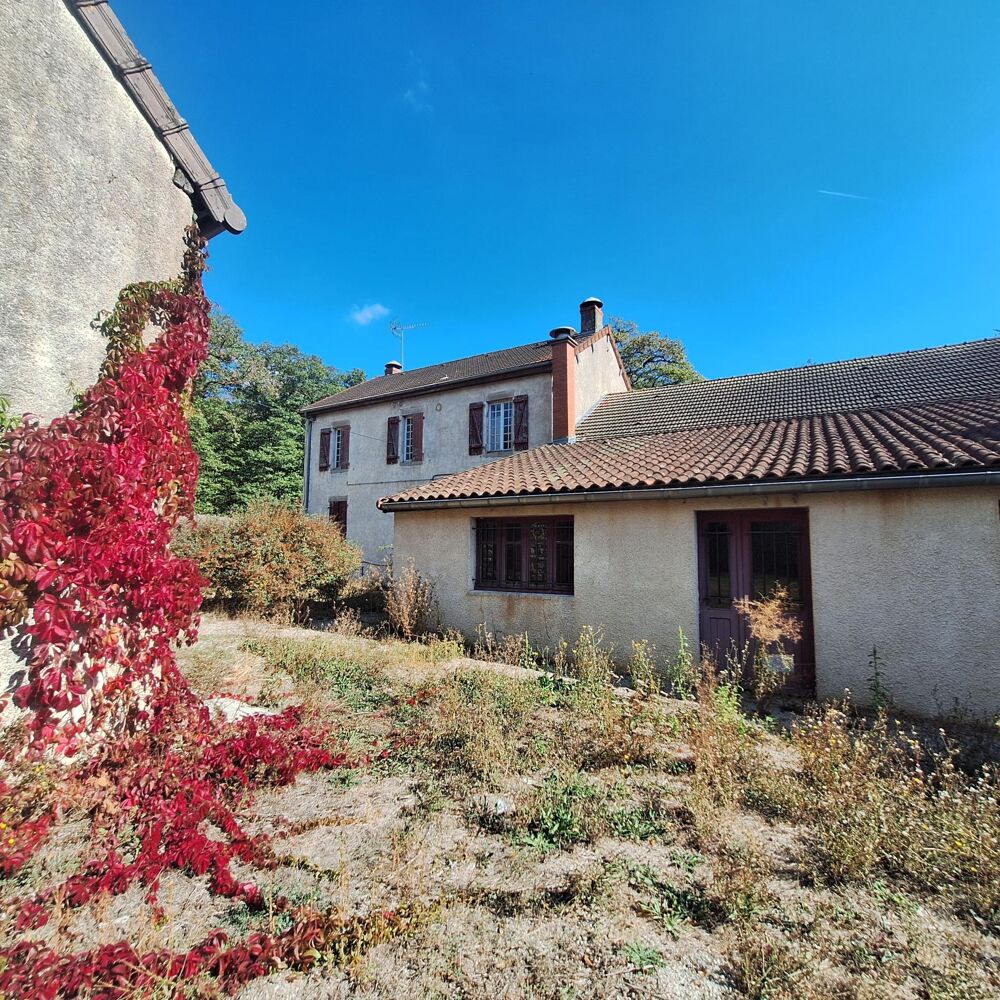 Vente Maison Ensemble immobilier: maison , appartement et local commercial avec restaurant /bar /discothèque Marmagne