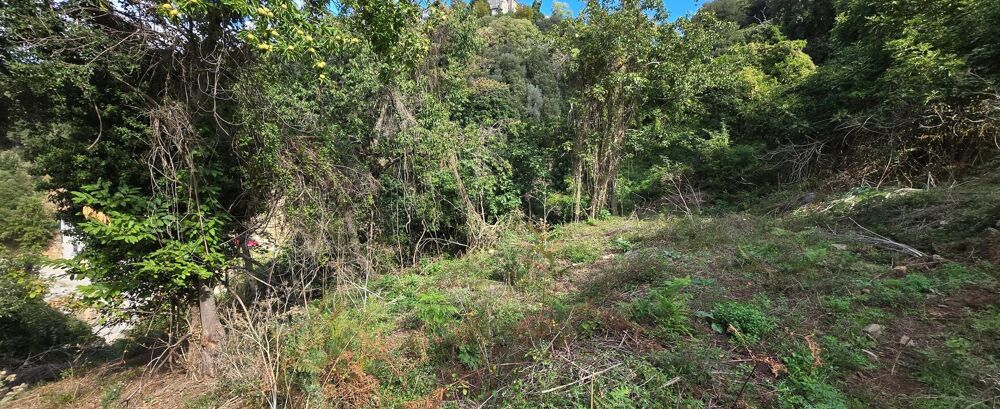Vente Terrain A SAISIR TERRAIN CONSTRUCTIBLE - OLMICCIA Olmiccia