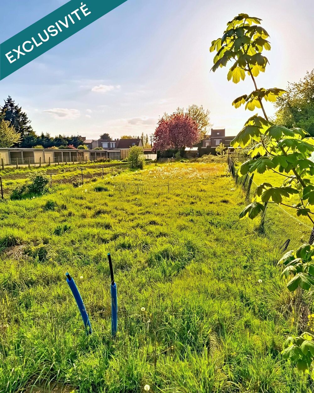 Vente Terrain TERRAIN A BATIR PARTIELLEMENT VIABILISE, SUR LA COMMUNE DE LA BASSEE.PROCHE DE TOUTES COMMODITES :ECOLES, COMMERCES.. La bassee