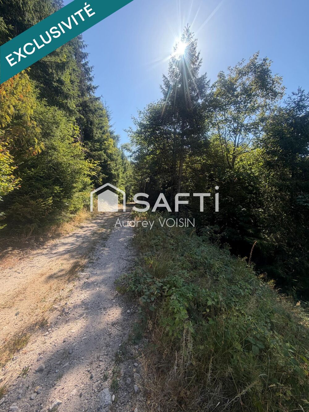 Vente Terrain EN EXCLUSIVITE UNE BELLE FORÊT DE PLUS DE 3 HECTARES Le menil