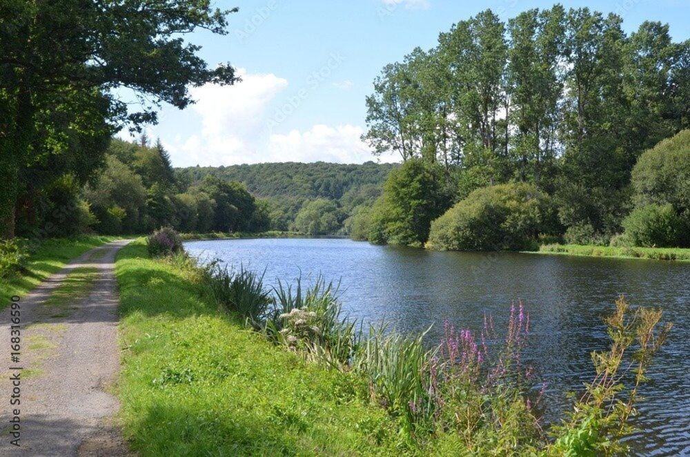 Vente Terrain TERRAIN DE 708 M² CONSTRUCTIBLE NON VIABILISÉ ( raccordement à proximité avec tout à l'égout ) Pontivy