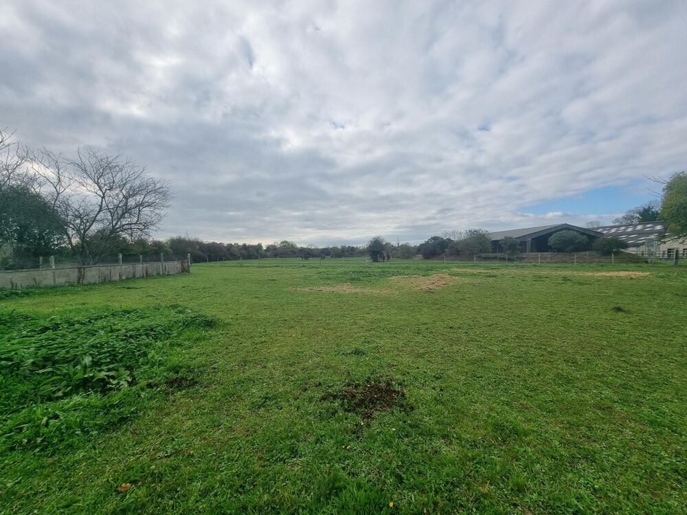 Vente Terrain Terrain constructible 754 m² – Trévière Trevieres