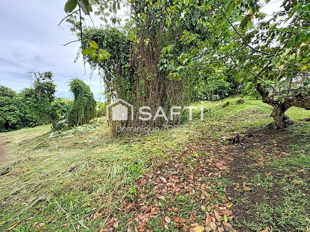 Vente Terrain TRINITE : Beau Terrain de 1075 m²  Vue dégagée La trinite