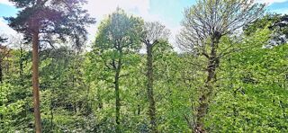  Appartement � vendre 5 pi�ces 107 m�