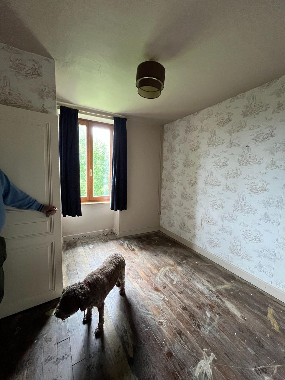 Vente Maison Charmante maison a renover dans la nature Blismes