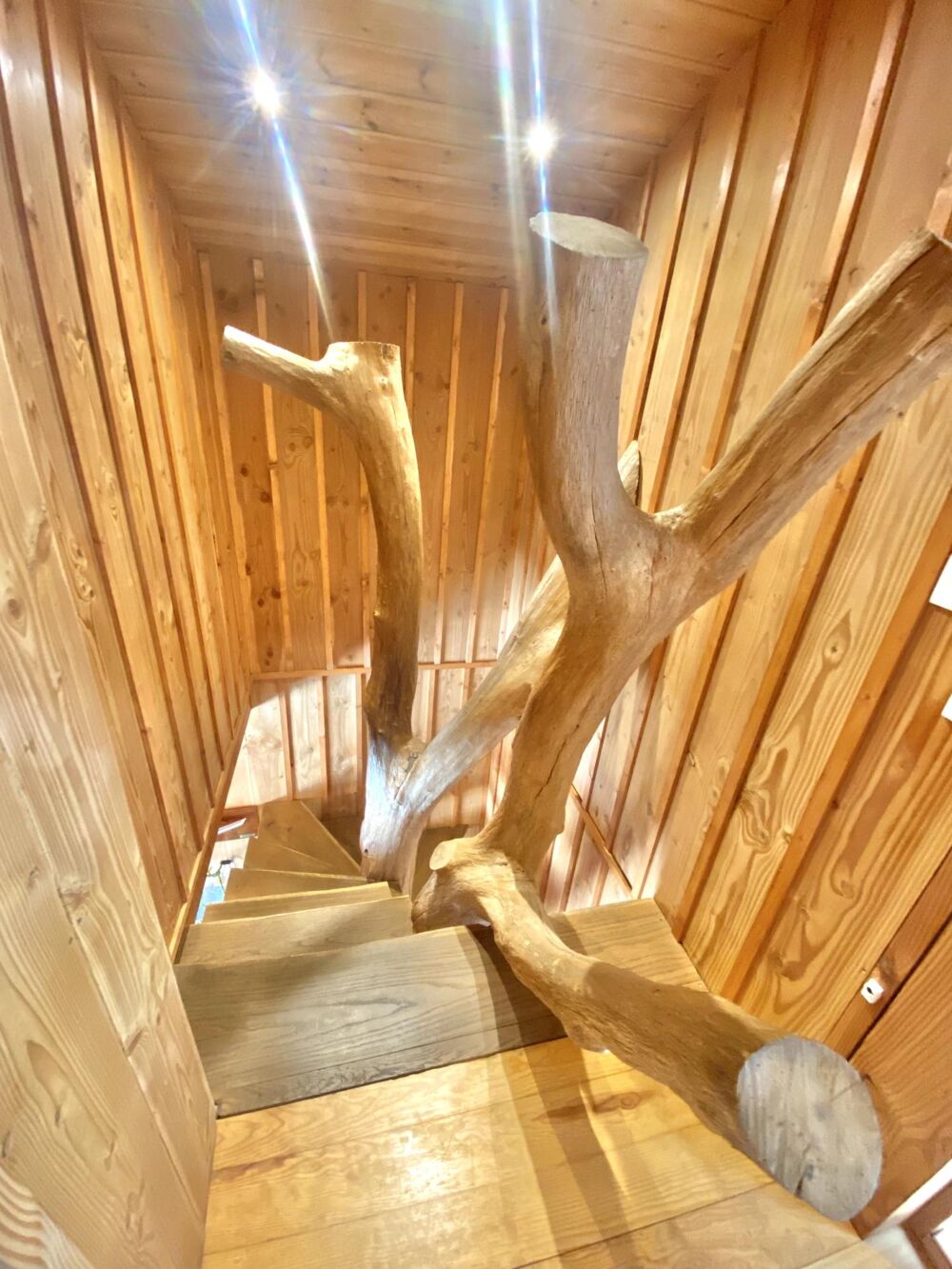Maison bois écologique et familiale