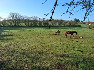  Maison � vendre 4 pi�ces 146 m�