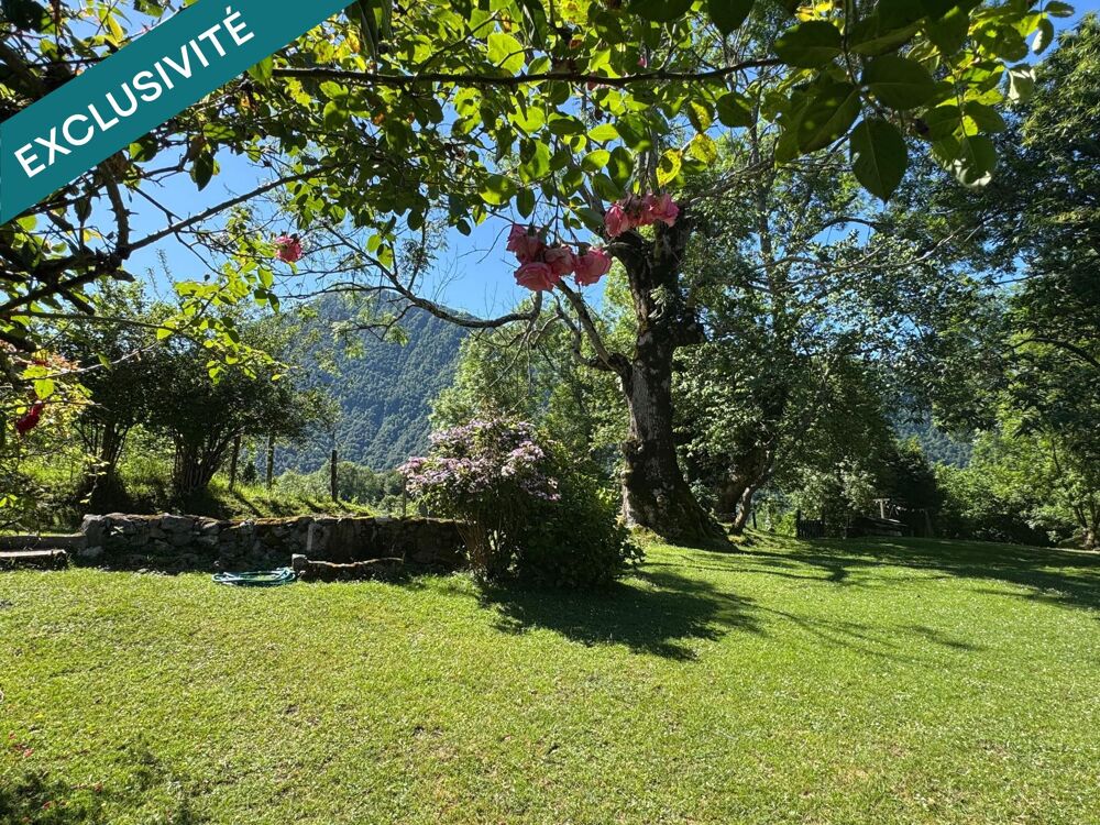 Vaste domaine de montagne, maison, gîte et granges