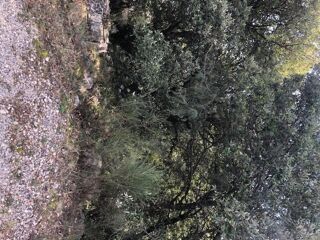  Terrain � vendre 10420 m�