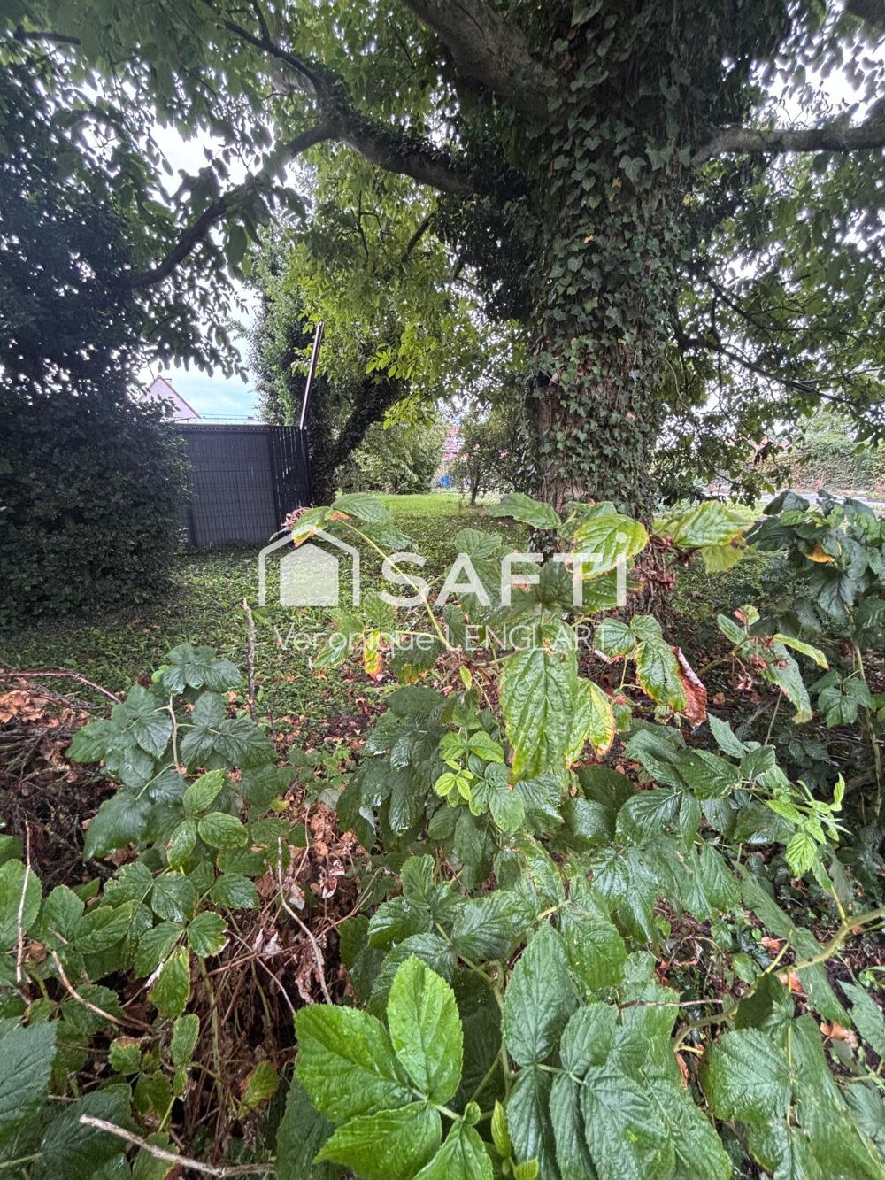 Vente Terrain Terrain de Loisir 285 m2 Mouchin Mouchin