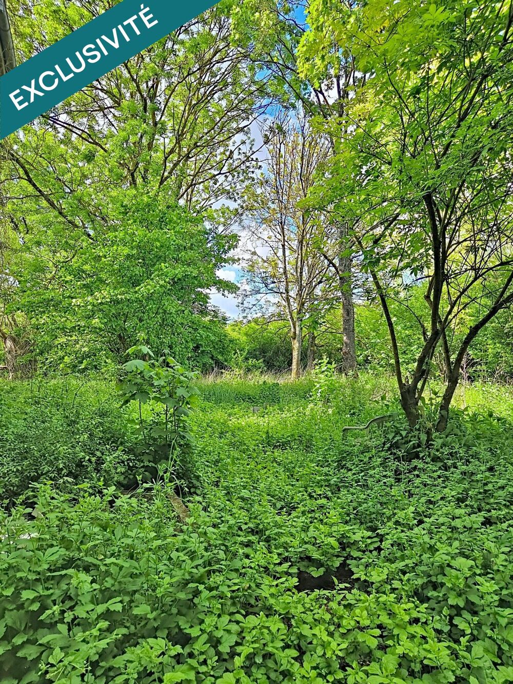 Vente Maison MAISON 233m² À RÉNOVER  SUR PARCELLE DE 2300m² Moncel-sur-seille