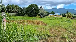  Terrain � vendre 1353 m�