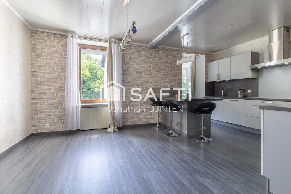 Vente Maison Ensemble immobilier T4 - T3 - Studio - Dépendance et garage Petite-rosselle