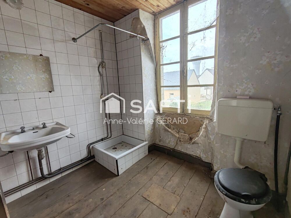 MAISON EN PIERRE À RÉNOVER AVEC BEAU JARDIN