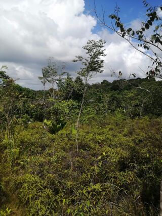  Terrain � vendre 13872 m�