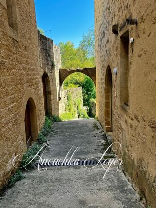  Maison � vendre 7 pi�ces 235 m�