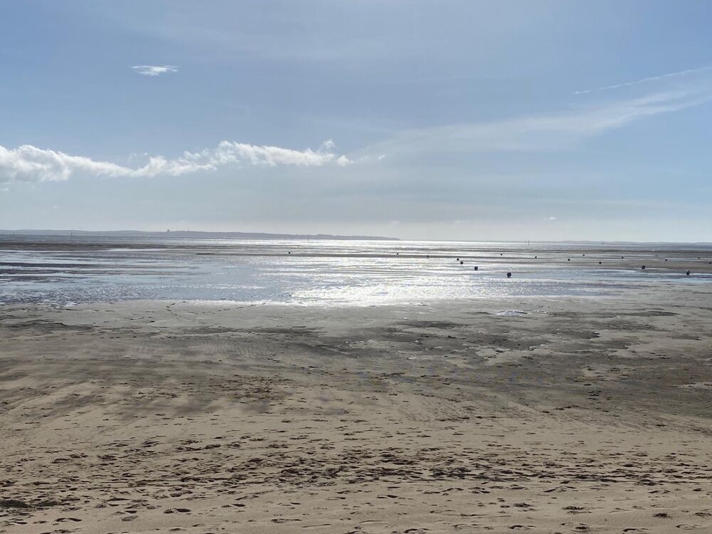 Vente Maison LA VIGNE , 3 Minutes à pied du Bassin Lege-cap-ferret