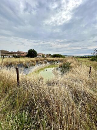  Immeuble � vendre 239 m�