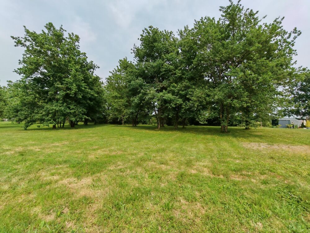 Vente Terrain Centre bourg, beau terrain de 1311 m² La chapelle-saint-sauveur