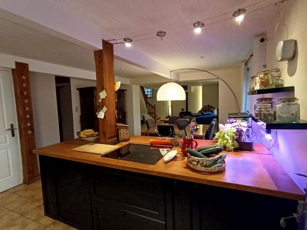 Vente Maison Grande maison rénovée Montjoi