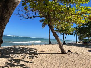  Appartement � vendre 1 pi�ce 28 m�