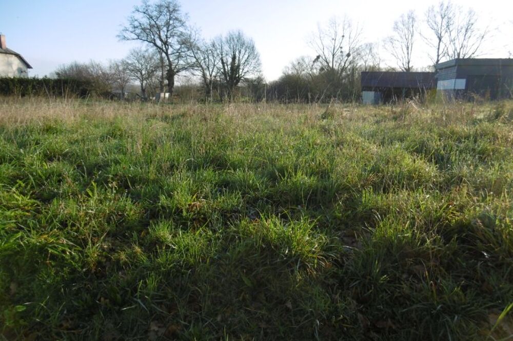 Vente Terrain A saisir rapidement terrain constructible de 1816 m2 Segre en anjou bleu
