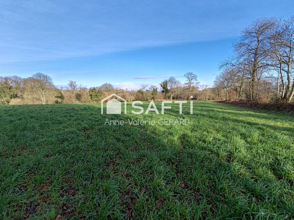 Vente Terrain Beau terrain agricole 3,7 hect avec ruisseau Buais-les-monts