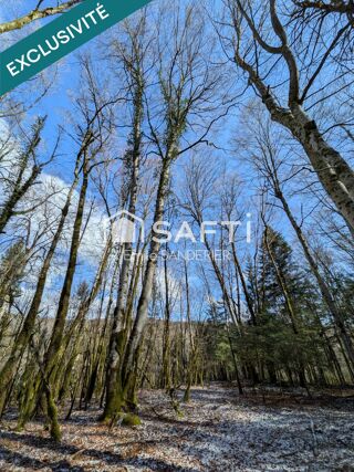  Terrain à vendre 12818 m²