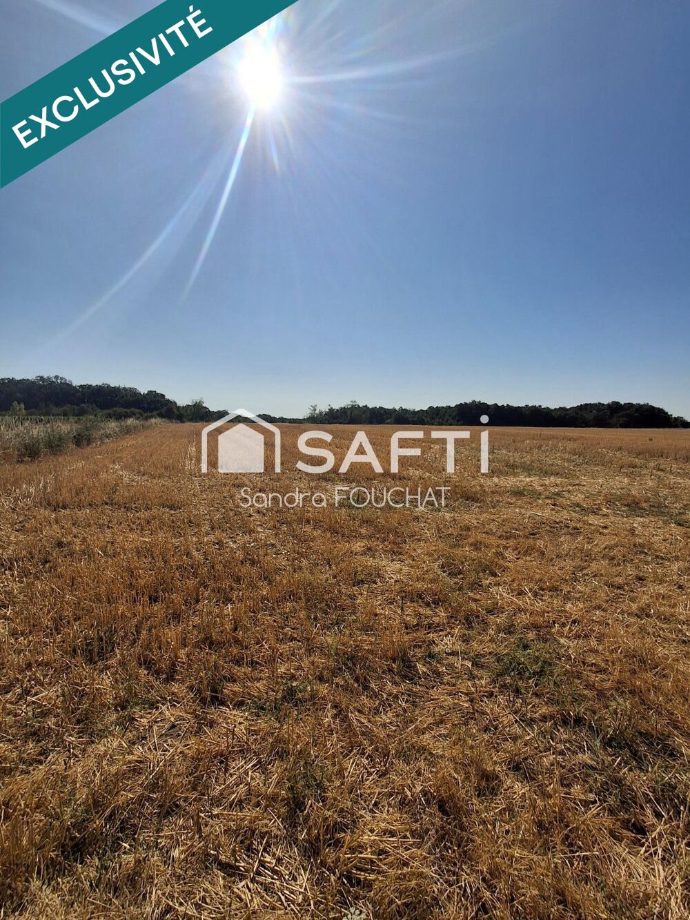 Vente Terrain Terrain agricole de 4 hectares – Réservé aux exploitant agricole – Secteur Campsas / Fabas Fabas