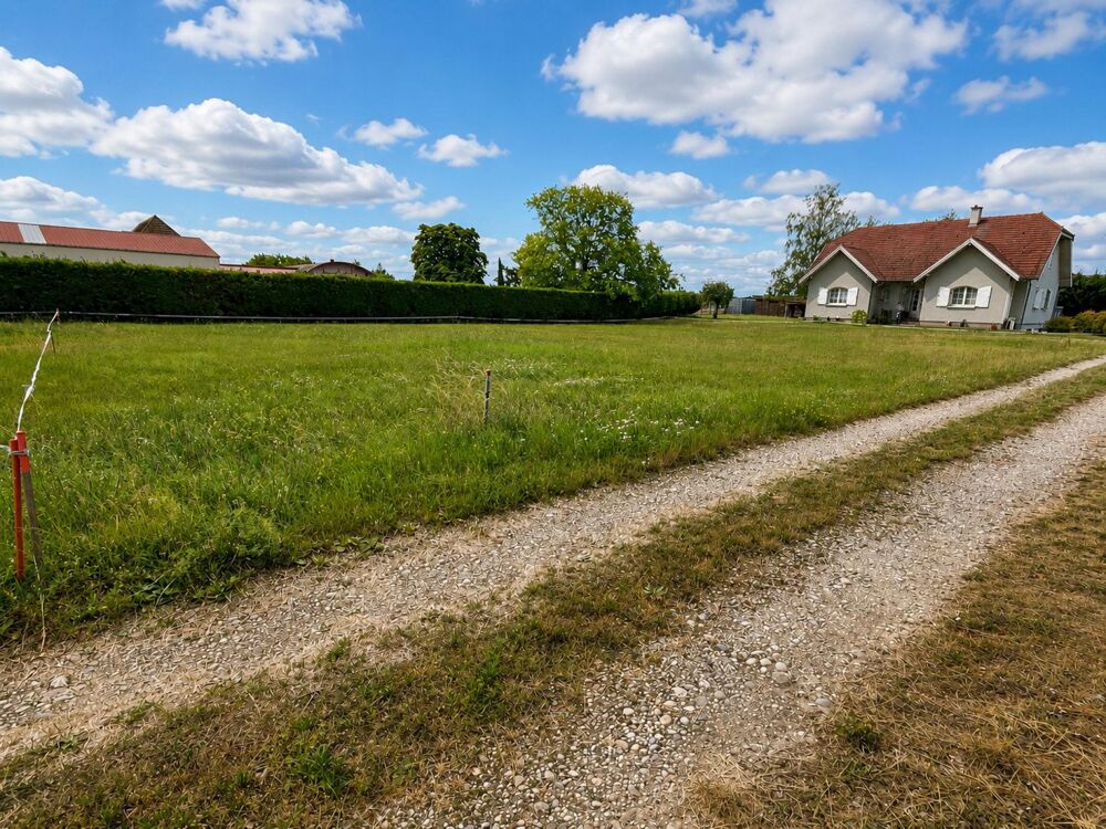 Vente Terrain ROGGENHOUSE- Terrain viabilisé  905 m² avec belles dimensions Roggenhouse
