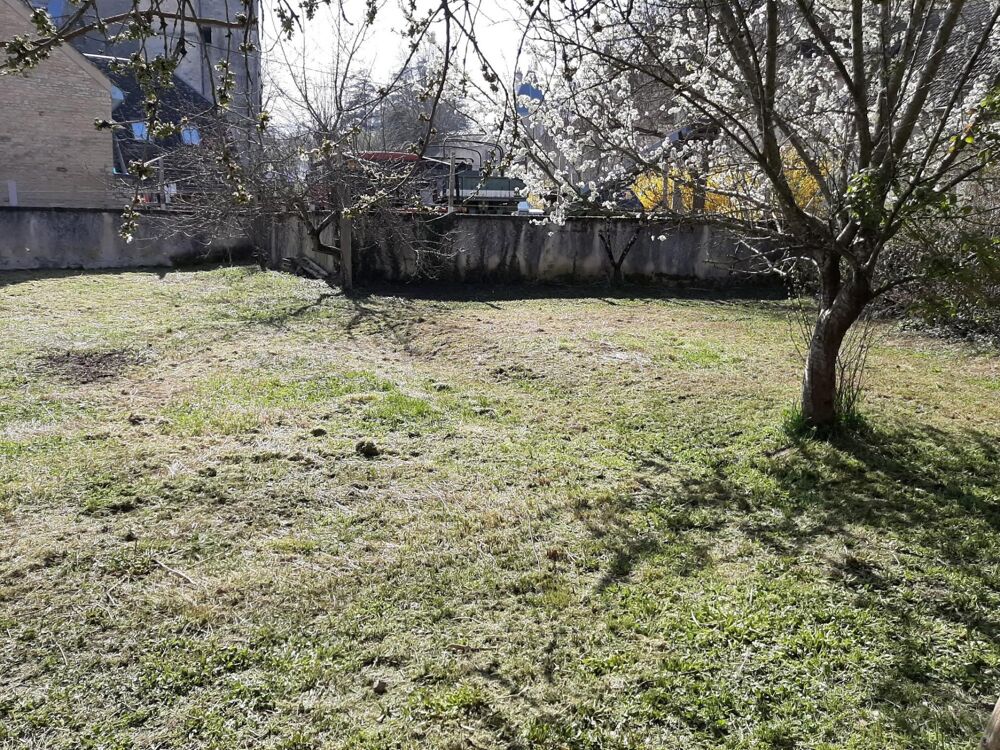 MAISON EN PIERRE AVEC TERRAIN