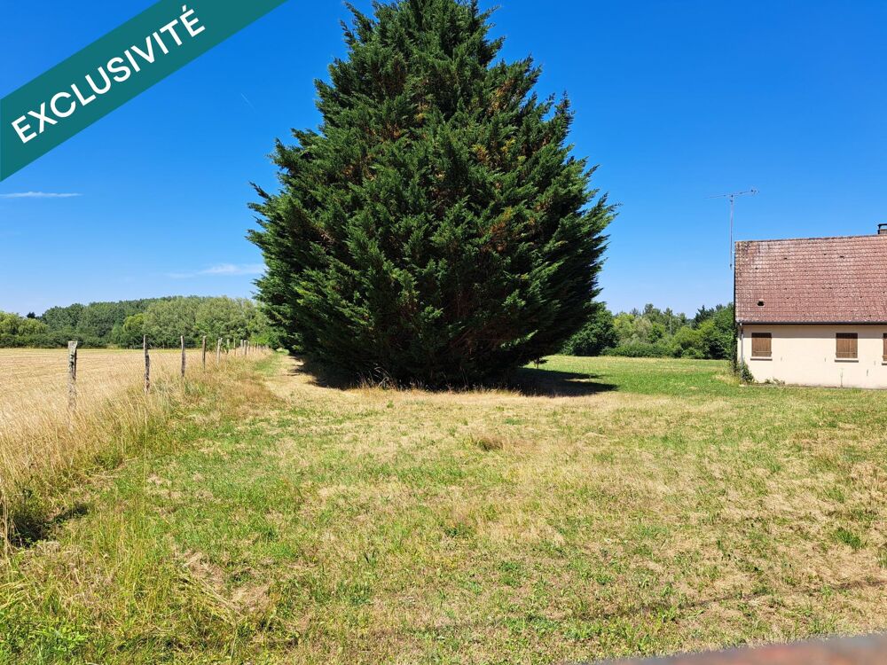 Vente Terrain Domaine 16 Ha avec deux �tangs et trois b�tisses Courcy-aux-loges