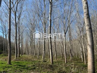  Terrain � vendre 31186 m�