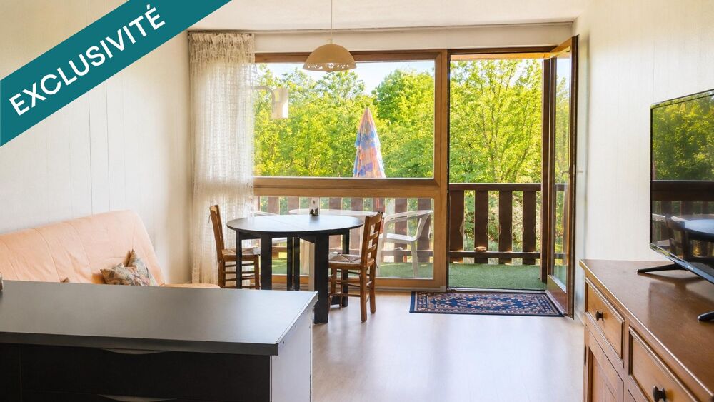 Vente Appartement Studio à la montagne Seyne