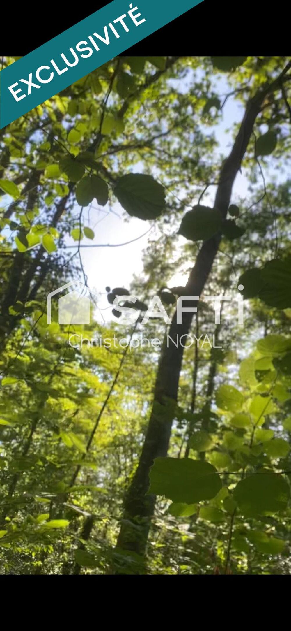Vente Terrain TERRAIN TRES RARE Morlanne