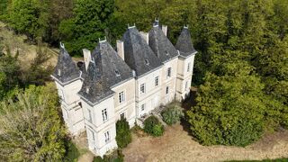  Propriété/château à vendre 12 pièces 333 m²