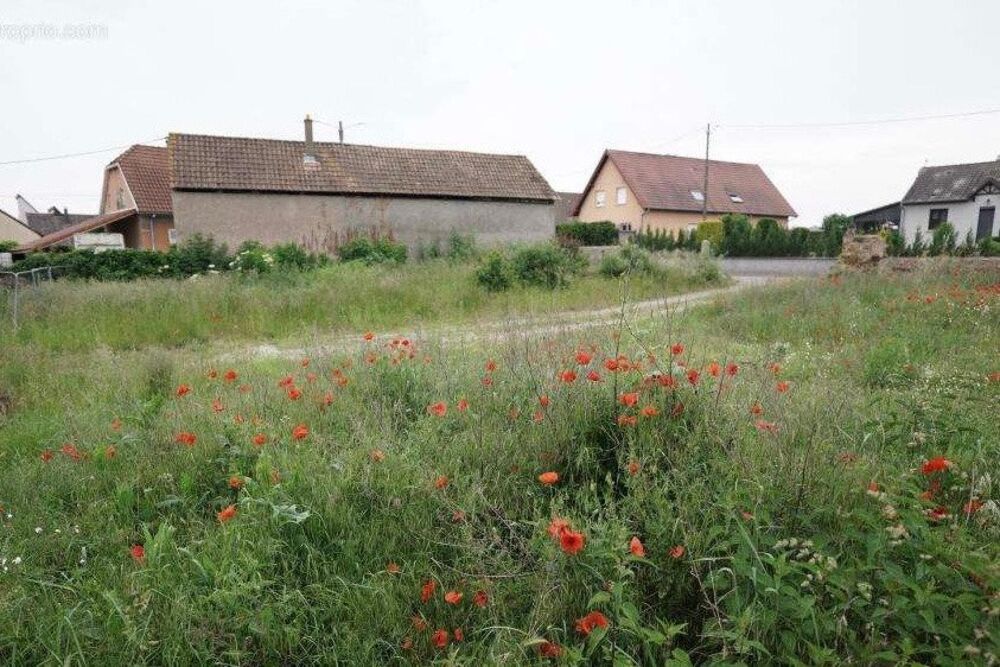 Vente Terrain Terrain.s de 492 m² Hirtzfelden