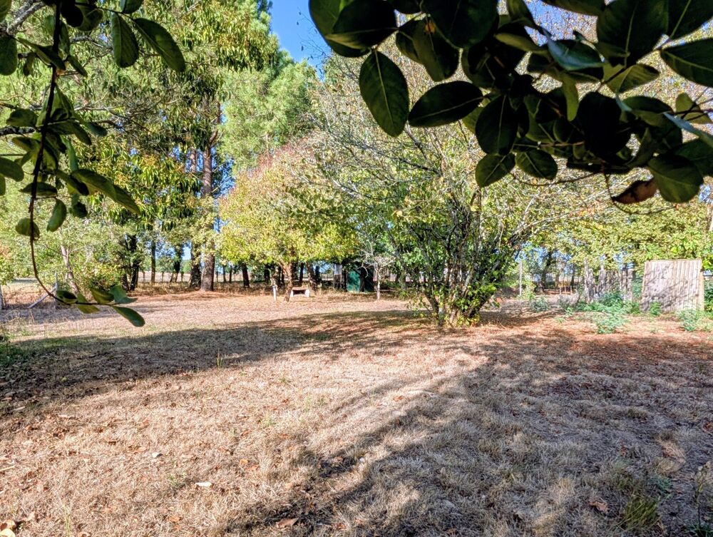 Vente Maison Maison de Charme en pierre avec joli terrain de 3833m². Saint-mariens