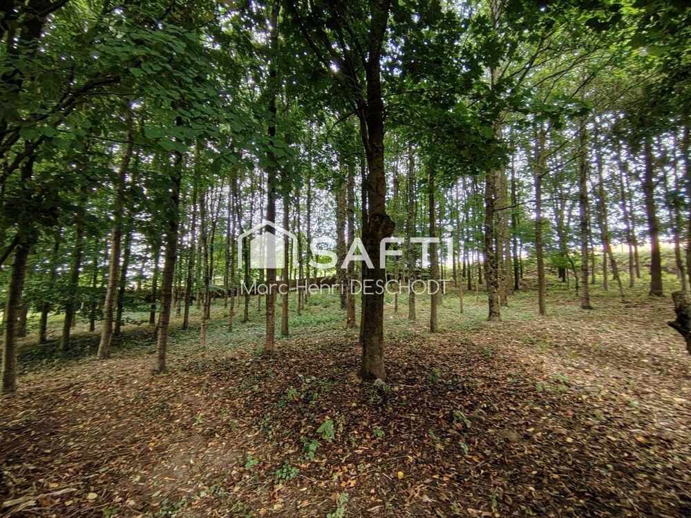 à vendre  Maison Frencq (62630)