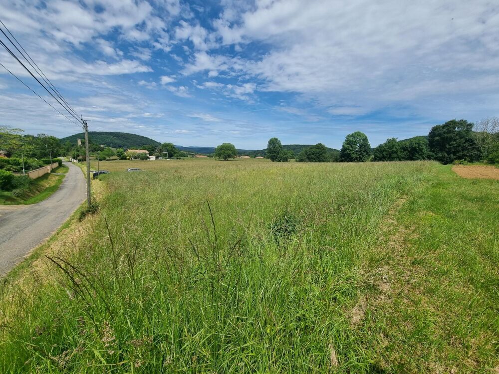 Vente Terrain Superbe terrain constructible 4450m2 plat ''prêt à bâtir'' Saleich