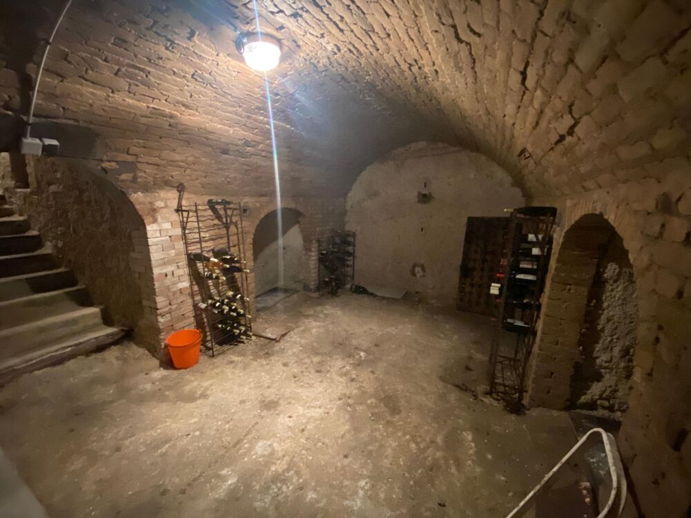 Vente Maison Propriété sur la Montagne de Reims sans vis a vis Verzenay