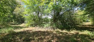  Terrain à vendre 85040 m²