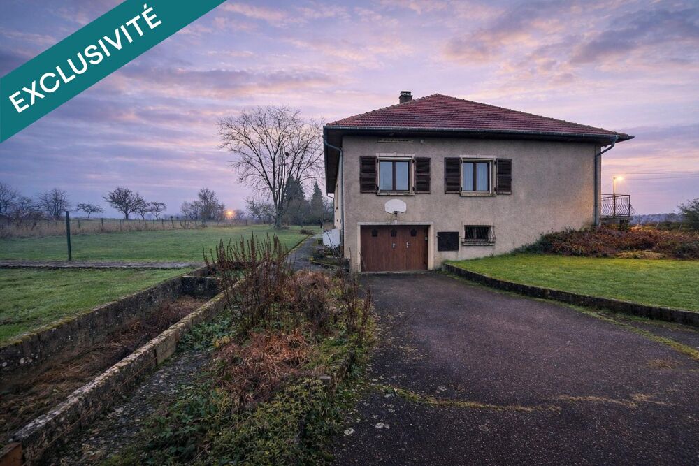 Vente Maison Magnifique pavillon de 160m2 sur 3800 M2 de terrain Briey
